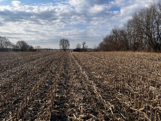 Property photo 22 - LAND AUCTION - 20+/- ACRES OFFERED IN 1 TRACT IN NOBLE COUNTY, INDIANA