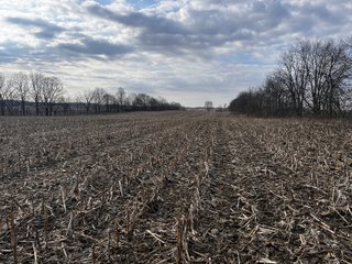 Property photo 23 - LAND AUCTION - 20+/- ACRES OFFERED IN 1 TRACT IN NOBLE COUNTY, INDIANA