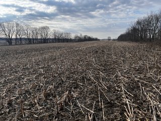 Property photo 24 - LAND AUCTION - 20+/- ACRES OFFERED IN 1 TRACT IN NOBLE COUNTY, INDIANA