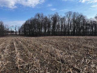 Property photo 25 - LAND AUCTION - 20+/- ACRES OFFERED IN 1 TRACT IN NOBLE COUNTY, INDIANA