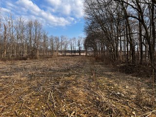 Property photo 26 - LAND AUCTION - 20+/- ACRES OFFERED IN 1 TRACT IN NOBLE COUNTY, INDIANA