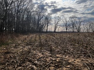 Property photo 27 - LAND AUCTION - 20+/- ACRES OFFERED IN 1 TRACT IN NOBLE COUNTY, INDIANA