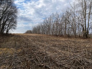 Property photo 28 - LAND AUCTION - 20+/- ACRES OFFERED IN 1 TRACT IN NOBLE COUNTY, INDIANA