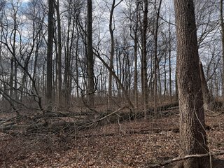 Property photo 30 - LAND AUCTION - 20+/- ACRES OFFERED IN 1 TRACT IN NOBLE COUNTY, INDIANA