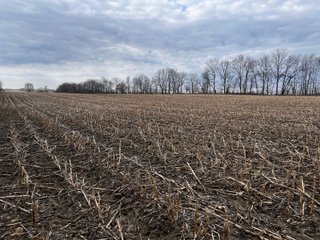 Property photo 33 - LAND AUCTION - 20+/- ACRES OFFERED IN 1 TRACT IN NOBLE COUNTY, INDIANA