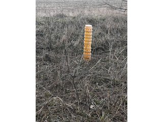 Property photo 34 - LAND AUCTION - 20+/- ACRES OFFERED IN 1 TRACT IN NOBLE COUNTY, INDIANA