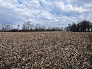 Property photo 35 - LAND AUCTION - 20+/- ACRES OFFERED IN 1 TRACT IN NOBLE COUNTY, INDIANA