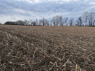 Property photo 36 - LAND AUCTION - 20+/- ACRES OFFERED IN 1 TRACT IN NOBLE COUNTY, INDIANA