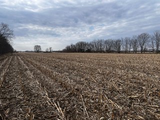 Property photo 37 - LAND AUCTION - 20+/- ACRES OFFERED IN 1 TRACT IN NOBLE COUNTY, INDIANA
