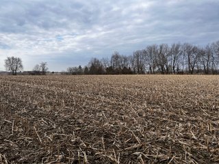 Property photo 38 - LAND AUCTION - 20+/- ACRES OFFERED IN 1 TRACT IN NOBLE COUNTY, INDIANA