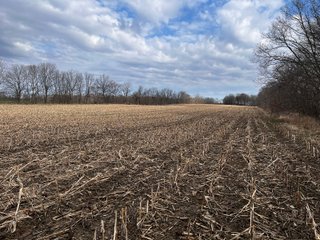 Property photo 39 - LAND AUCTION - 20+/- ACRES OFFERED IN 1 TRACT IN NOBLE COUNTY, INDIANA