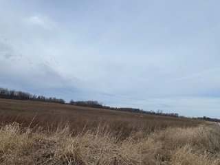Property photo 51 - TILLABLE AND RECREATIONAL LAND AUCTION - 238.5+/- ACRES OFFERED IN 5 TRACTS IN SHIAWASSEE COUNTY, MICHIGAN