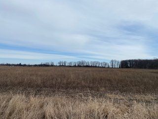 Property photo 41 - TILLABLE AND RECREATIONAL LAND AUCTION - 238.5+/- ACRES OFFERED IN 5 TRACTS IN SHIAWASSEE COUNTY, MICHIGAN