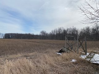Property photo 40 - TILLABLE AND RECREATIONAL LAND AUCTION - 238.5+/- ACRES OFFERED IN 5 TRACTS IN SHIAWASSEE COUNTY, MICHIGAN