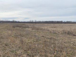 Property photo 39 - TILLABLE AND RECREATIONAL LAND AUCTION - 238.5+/- ACRES OFFERED IN 5 TRACTS IN SHIAWASSEE COUNTY, MICHIGAN