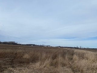 Property photo 38 - TILLABLE AND RECREATIONAL LAND AUCTION - 238.5+/- ACRES OFFERED IN 5 TRACTS IN SHIAWASSEE COUNTY, MICHIGAN