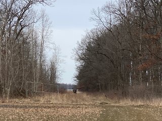 Property photo 37 - TILLABLE AND RECREATIONAL LAND AUCTION - 238.5+/- ACRES OFFERED IN 5 TRACTS IN SHIAWASSEE COUNTY, MICHIGAN