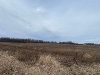 Property photo 36 - TILLABLE AND RECREATIONAL LAND AUCTION - 238.5+/- ACRES OFFERED IN 5 TRACTS IN SHIAWASSEE COUNTY, MICHIGAN