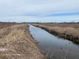 Property photo 35 - TILLABLE AND RECREATIONAL LAND AUCTION - 238.5+/- ACRES OFFERED IN 5 TRACTS IN SHIAWASSEE COUNTY, MICHIGAN