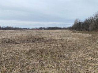 Property photo 34 - TILLABLE AND RECREATIONAL LAND AUCTION - 238.5+/- ACRES OFFERED IN 5 TRACTS IN SHIAWASSEE COUNTY, MICHIGAN