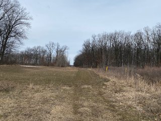 Property photo 24 - TILLABLE AND RECREATIONAL LAND AUCTION - 238.5+/- ACRES OFFERED IN 5 TRACTS IN SHIAWASSEE COUNTY, MICHIGAN