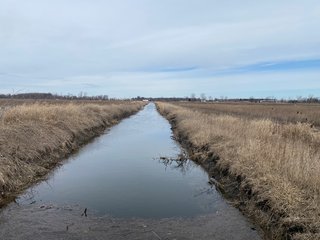 Property photo 32 - TILLABLE AND RECREATIONAL LAND AUCTION - 238.5+/- ACRES OFFERED IN 5 TRACTS IN SHIAWASSEE COUNTY, MICHIGAN