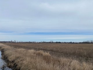 Property photo 31 - TILLABLE AND RECREATIONAL LAND AUCTION - 238.5+/- ACRES OFFERED IN 5 TRACTS IN SHIAWASSEE COUNTY, MICHIGAN