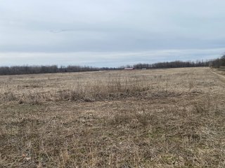 Property photo 30 - TILLABLE AND RECREATIONAL LAND AUCTION - 238.5+/- ACRES OFFERED IN 5 TRACTS IN SHIAWASSEE COUNTY, MICHIGAN