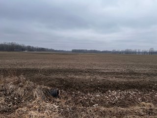 Property photo 29 - TILLABLE AND RECREATIONAL LAND AUCTION - 238.5+/- ACRES OFFERED IN 5 TRACTS IN SHIAWASSEE COUNTY, MICHIGAN