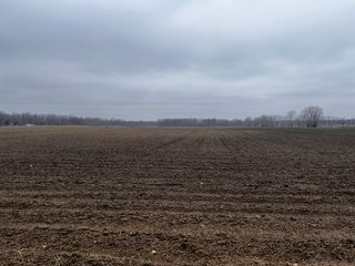 Property photo 28 - TILLABLE AND RECREATIONAL LAND AUCTION - 238.5+/- ACRES OFFERED IN 5 TRACTS IN SHIAWASSEE COUNTY, MICHIGAN