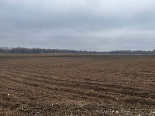 Property photo 27 - TILLABLE AND RECREATIONAL LAND AUCTION - 238.5+/- ACRES OFFERED IN 5 TRACTS IN SHIAWASSEE COUNTY, MICHIGAN