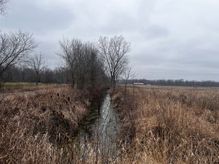 Property photo 26 - TILLABLE AND RECREATIONAL LAND AUCTION - 238.5+/- ACRES OFFERED IN 5 TRACTS IN SHIAWASSEE COUNTY, MICHIGAN