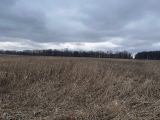 Property photo 57 - TILLABLE AND RECREATIONAL LAND AUCTION - 238.5+/- ACRES OFFERED IN 5 TRACTS IN SHIAWASSEE COUNTY, MICHIGAN
