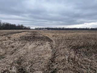 Property photo 56 - TILLABLE AND RECREATIONAL LAND AUCTION - 238.5+/- ACRES OFFERED IN 5 TRACTS IN SHIAWASSEE COUNTY, MICHIGAN