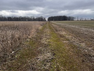 Property photo 55 - TILLABLE AND RECREATIONAL LAND AUCTION - 238.5+/- ACRES OFFERED IN 5 TRACTS IN SHIAWASSEE COUNTY, MICHIGAN