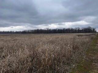 Property photo 54 - TILLABLE AND RECREATIONAL LAND AUCTION - 238.5+/- ACRES OFFERED IN 5 TRACTS IN SHIAWASSEE COUNTY, MICHIGAN