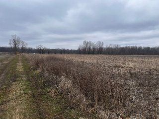 Property photo 53 - TILLABLE AND RECREATIONAL LAND AUCTION - 238.5+/- ACRES OFFERED IN 5 TRACTS IN SHIAWASSEE COUNTY, MICHIGAN