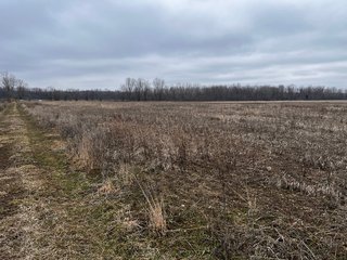 Property photo 52 - TILLABLE AND RECREATIONAL LAND AUCTION - 238.5+/- ACRES OFFERED IN 5 TRACTS IN SHIAWASSEE COUNTY, MICHIGAN