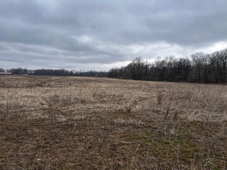Property photo 42 - TILLABLE AND RECREATIONAL LAND AUCTION - 238.5+/- ACRES OFFERED IN 5 TRACTS IN SHIAWASSEE COUNTY, MICHIGAN