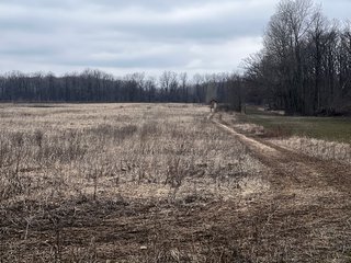 Property photo 50 - TILLABLE AND RECREATIONAL LAND AUCTION - 238.5+/- ACRES OFFERED IN 5 TRACTS IN SHIAWASSEE COUNTY, MICHIGAN