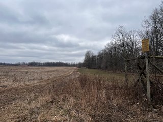 Property photo 49 - TILLABLE AND RECREATIONAL LAND AUCTION - 238.5+/- ACRES OFFERED IN 5 TRACTS IN SHIAWASSEE COUNTY, MICHIGAN
