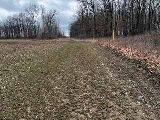 Property photo 48 - TILLABLE AND RECREATIONAL LAND AUCTION - 238.5+/- ACRES OFFERED IN 5 TRACTS IN SHIAWASSEE COUNTY, MICHIGAN
