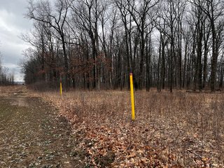 Property photo 47 - TILLABLE AND RECREATIONAL LAND AUCTION - 238.5+/- ACRES OFFERED IN 5 TRACTS IN SHIAWASSEE COUNTY, MICHIGAN