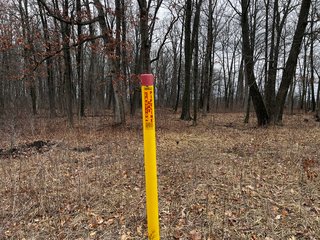 Property photo 46 - TILLABLE AND RECREATIONAL LAND AUCTION - 238.5+/- ACRES OFFERED IN 5 TRACTS IN SHIAWASSEE COUNTY, MICHIGAN