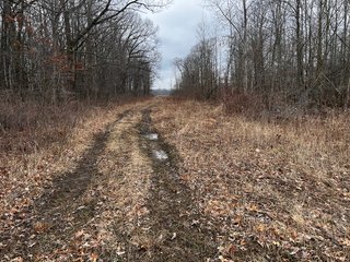 Property photo 44 - TILLABLE AND RECREATIONAL LAND AUCTION - 238.5+/- ACRES OFFERED IN 5 TRACTS IN SHIAWASSEE COUNTY, MICHIGAN