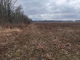 Property photo 43 - TILLABLE AND RECREATIONAL LAND AUCTION - 238.5+/- ACRES OFFERED IN 5 TRACTS IN SHIAWASSEE COUNTY, MICHIGAN