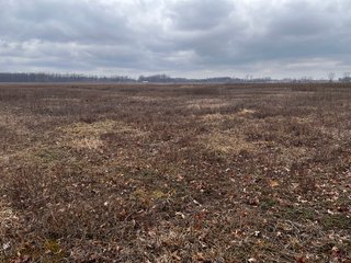 Property photo 10 - TILLABLE AND RECREATIONAL LAND AUCTION - 238.5+/- ACRES OFFERED IN 5 TRACTS IN SHIAWASSEE COUNTY, MICHIGAN