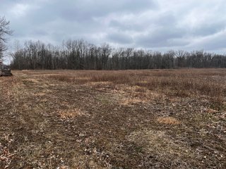 Property photo 12 - TILLABLE AND RECREATIONAL LAND AUCTION - 238.5+/- ACRES OFFERED IN 5 TRACTS IN SHIAWASSEE COUNTY, MICHIGAN