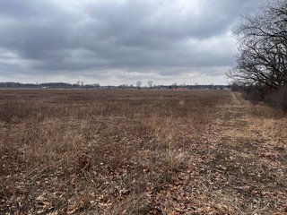 Property photo 13 - TILLABLE AND RECREATIONAL LAND AUCTION - 238.5+/- ACRES OFFERED IN 5 TRACTS IN SHIAWASSEE COUNTY, MICHIGAN