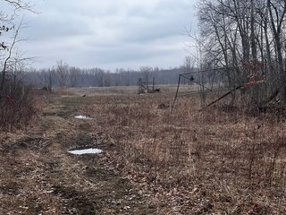 Property photo 15 - TILLABLE AND RECREATIONAL LAND AUCTION - 238.5+/- ACRES OFFERED IN 5 TRACTS IN SHIAWASSEE COUNTY, MICHIGAN